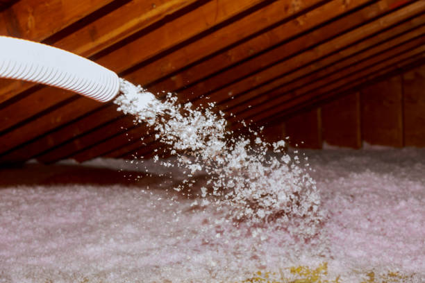Best Energy Efficiency Insulation in Rancho Santa Margarita, CA