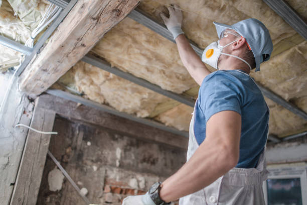 Best Cellulose Insulation in Rancho Santa Margarita, CA